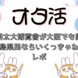 平野耕太大博覧會が大阪でも開催！鹿児島県民なら行くっきゃねぇ！レポ