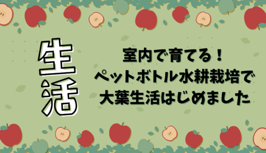 室内で育てる！ペットボトル水耕栽培で大葉生活はじめました