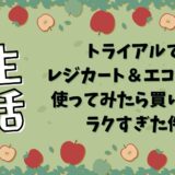 トライアルでレジカート＆エコバッグ使ってみたら買い物がラクすぎた件