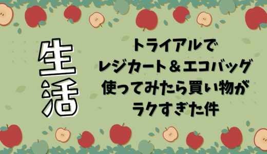 トライアルでレジカート＆エコバッグ使ってみたら買い物がラクすぎた件