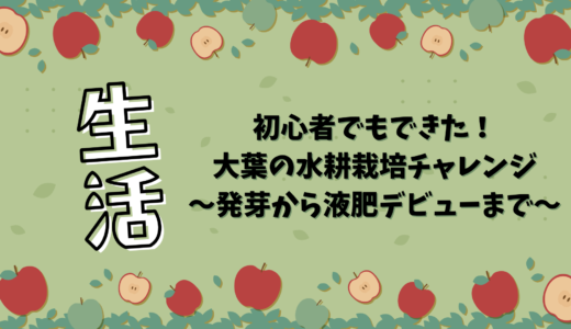 初心者でもできた！大葉の水耕栽培チャレンジ〜発芽から液肥デビューまで〜