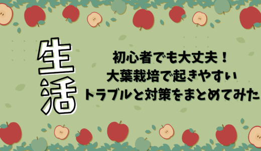 初心者でも大丈夫！大葉栽培で起きやすいトラブルと対策をまとめてみた